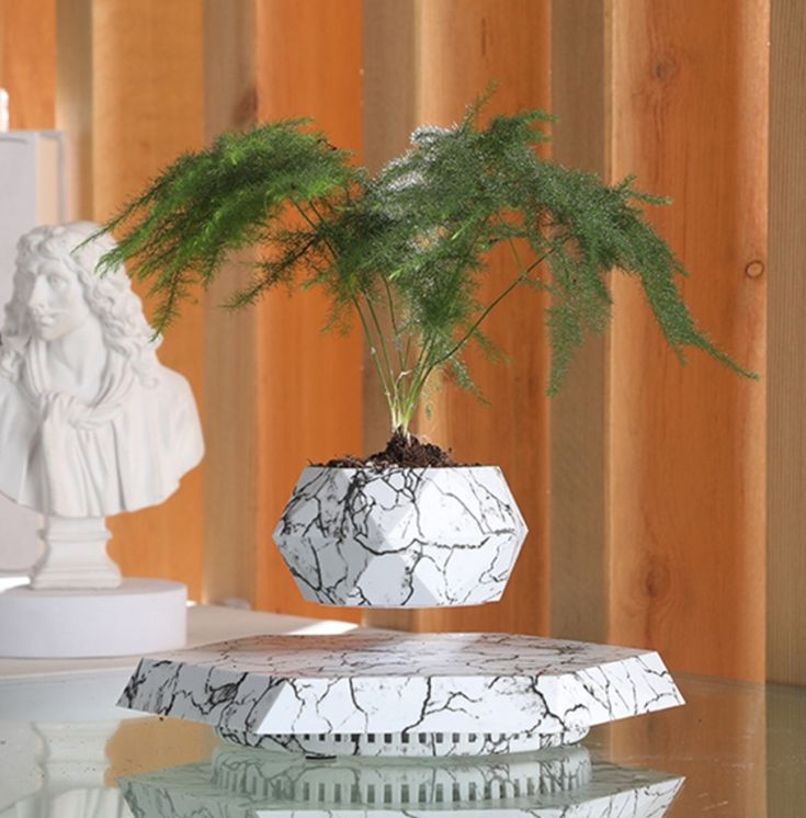 Magnetic Levitating Pot - Blink2Buy